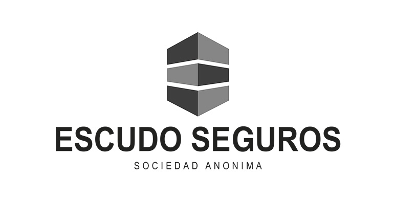 Opciones de logo