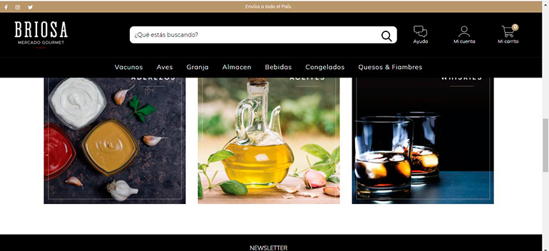 Desarrollo Website BriosaGourmet