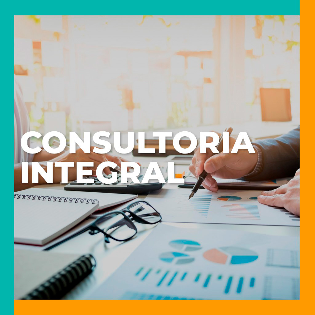 Servicio Consultoría Integral